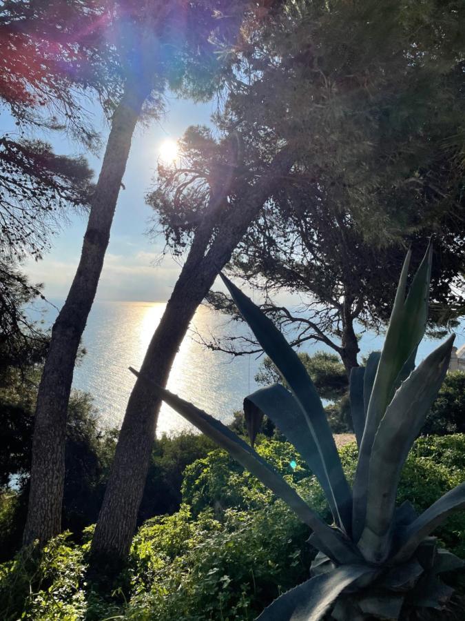 Casa Soluna Γιαβέα Εξωτερικό φωτογραφία